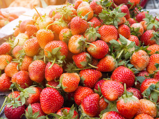 Strawberry for sale in the market with sunlight effect.