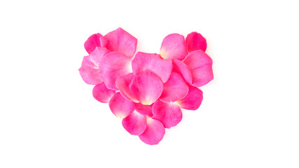 Petals of pink rose in a heart shape on a white background.
