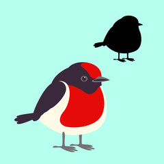 red - capped robin bird vector illustration flat style black