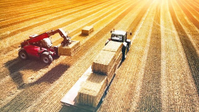 Aerial view of a stacker loading hay bales on a trailer. Agricultural background. 