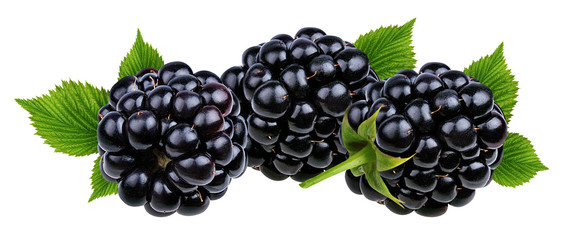 Fresh blackberry with leaf isolated on white background with clipping path