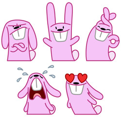 Pink rabbit set