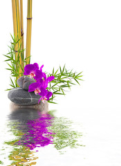 Obraz na płótnie Canvas bambou, orchidée et galets avec reflets 