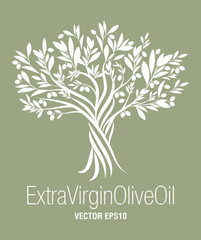 Obraz premium Drzewo oliwne. Symbol oliwy z oliwek z pierwszego tłoczenia. Symbol kultury i kuchni śródziemnomorskiej.