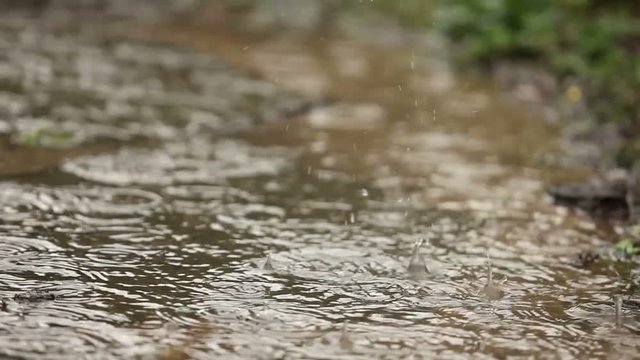 Rain drops fall on the track, the focus movement