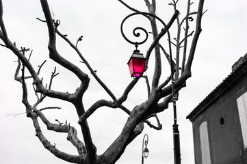Vintage streetlight with magenta color glass, tree, old house and the second streetlight with normal glass at backgrounds. (Arles, Provence, France). Concepts of unique, different and standing out. © Elena Dijour