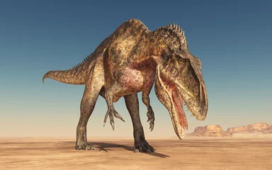 Crédence de cuisine en verre imprimé Dinosaures Dinosaurier Acrocanthosaurus in der Wüste