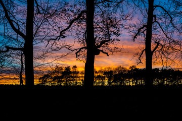 Abendrot - Blaue Stunde