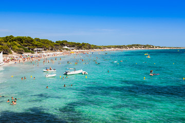 Fototapeta na wymiar Ibiza island,beach Ses Salines in Sant Josep at Balearic islands
