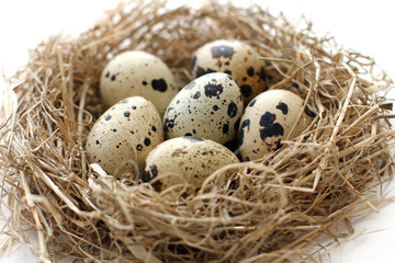 Naklejka na ściany i meble Quail eggs in nest from straw for Easter close-up