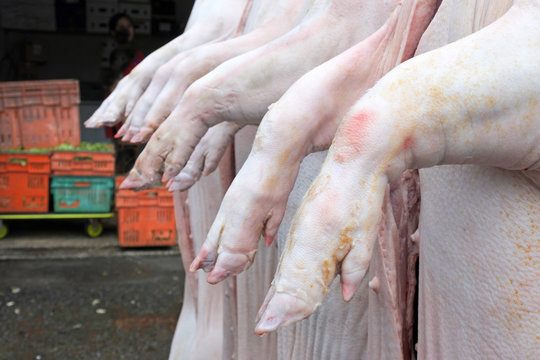 Carcasses of pig legs in Rarotonga Cook Islands