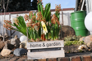 gartenarbeit gartengestaltung  blumen deko beet
