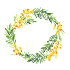Wreath of watercolor mimosa flower isolate on white background. Flowers for wedding cards.