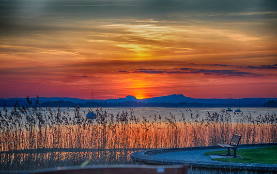 Tiefstehende Sonne am Untersee mit Schilf
