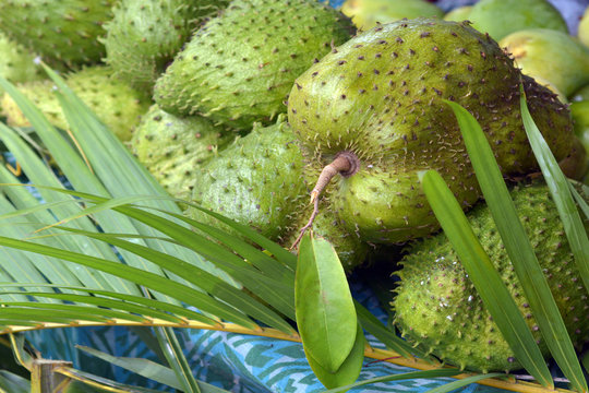 Soursop fruit for slae in the market in Rarotonga Cook Islands