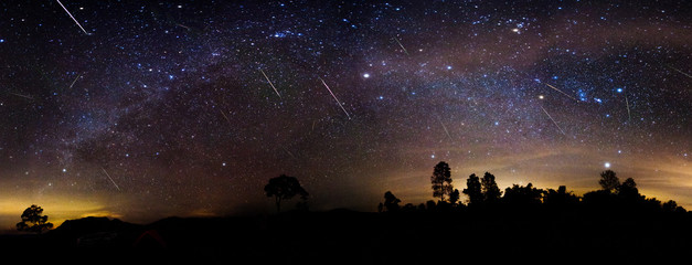 Milky way panorama over the forest with shower meteor.