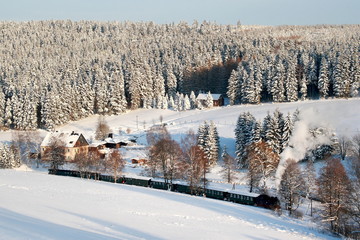 Dampflock in Winterlandschaft