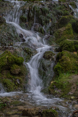 Obraz premium Waterfall in the forest. Green moss and stones.
