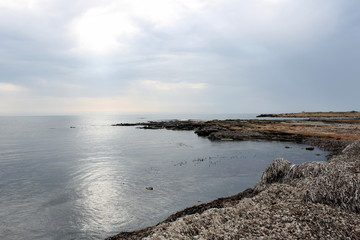Fototapeta na wymiar Paisaje de mar cercano a la playa con algas en la orilla, al amanecer