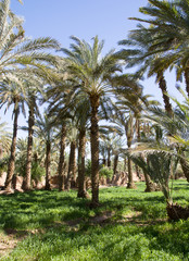 Obraz premium Maroko