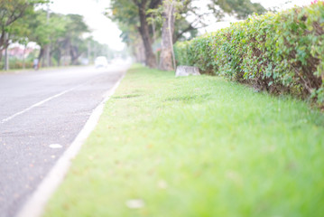 Obraz premium Wayside view of road in the morning