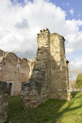 Fototapeta na wymiar Ruin church in Radpuszta