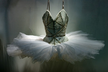 Ballet Dress skirt isolated on white