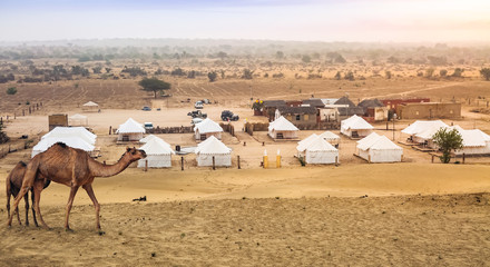 Thar desert Jaisalmer Rajasthan with view of tents and camels used for desert safari