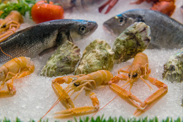 Variety of sea food in ice