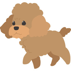 歩く犬（トイプードル）