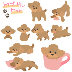 トイプードルセット