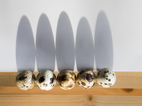 High angle view shot of five quaill eggs on a wooden table