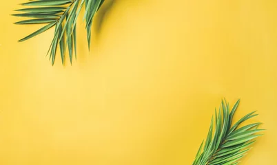 Foto op Plexiglas Palmboom Flat-lay van groene palmtakken over gele achtergrond, bovenaanzicht, kopieerruimte, brede compositie. Zomervakantie, reizen of mode concept
