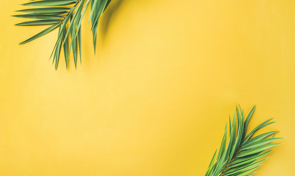 Flat-lay of green palm branches over yellow background, top view, copy space, wide composition. Summer vacation, travel or fashion concept