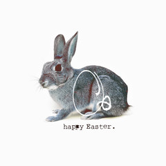 Easter eggs doodle on isolated rabbit, "Happy Easter" text typewriting, very simple greeting card.