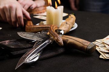 Witch lets the snake crawl on ritual knives