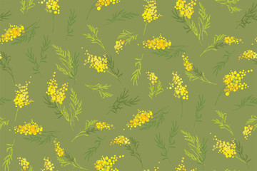 Obraz premium Yellow mimosa, flowers of yellow spots, splashes. Spring wreath of the brightest yellow flowers. Hello Spring