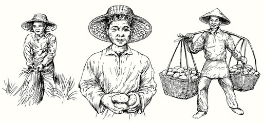 Fototapeta na wymiar Asian farmers harvest potatoes and rice. Hand drawn set.