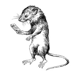 Funny mouse looking at phone. Hand drawn illustration.
