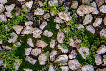  beautiful stones on the ground