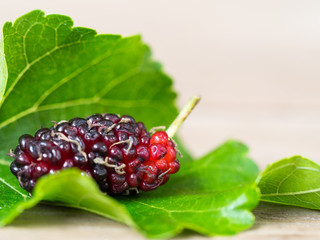 Close up of mulberry with a green leaves on the wooden table. Mulberry this a fruit and can be eaten in have a red and purple color. Mulberry is delicious and sweet nature.