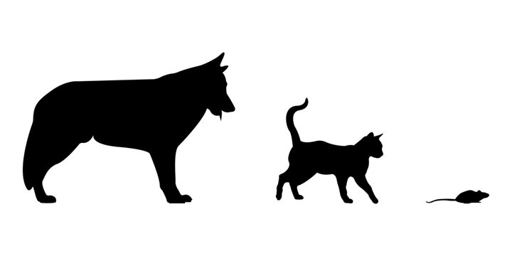silhouette of a cat and a dog and mouse icon