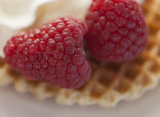 gaufrette a la framboise fraiche