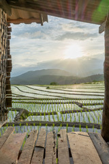 Rice terrace of Thailand,Rice field view wood house.