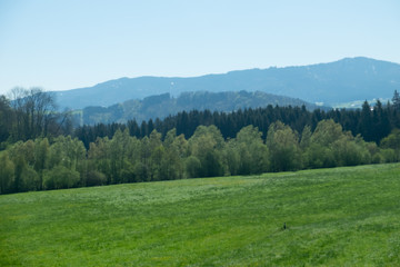 Fototapeta na wymiar The green meadow behind is the mountain.