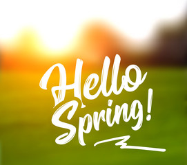 Fototapeta premium Text message hello spring, against a background of a spring landscape