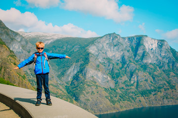 happy little boy travel in mountains, hiking in nature
