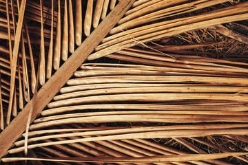 Dry palm leaf for background.