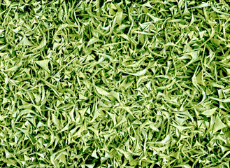 Green background of paper scraps.Green grass from recycled paper