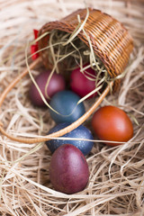Colorful eastern eggs. Copy space. Selective focus